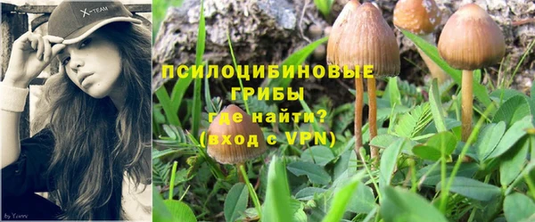 гидра Алзамай