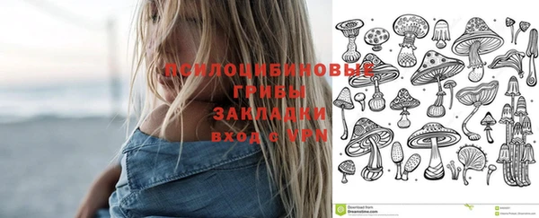 mix Алексин