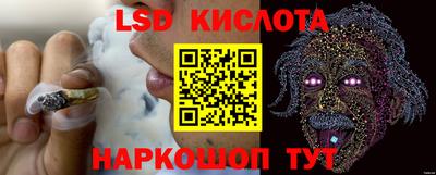 Альфа ПВП Ярославль