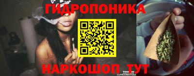 Альфа ПВП Ярославль