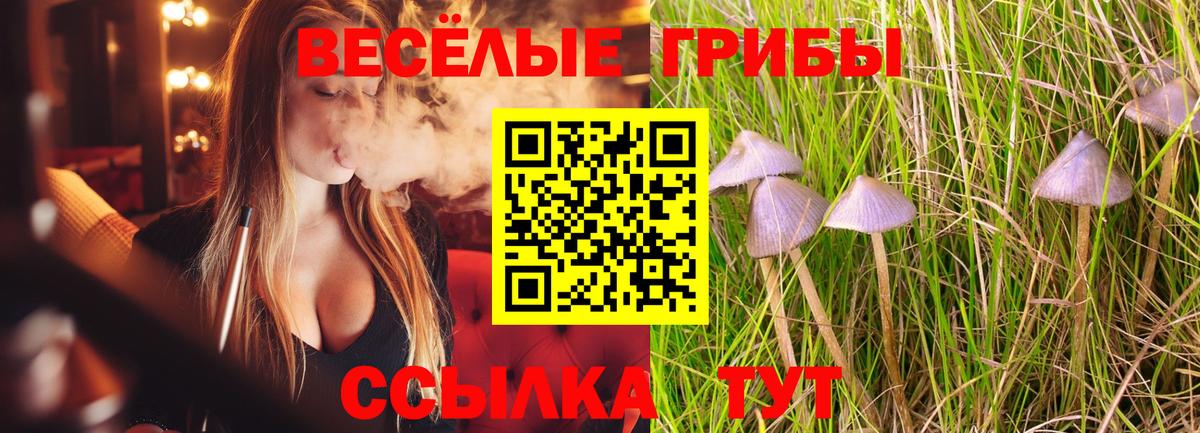 Галлюциногенные грибы MAGIC MUSHROOMS Алексин